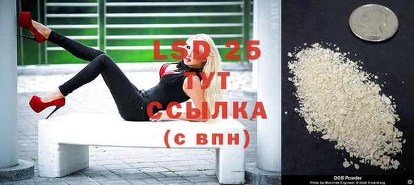 сатива Гусев