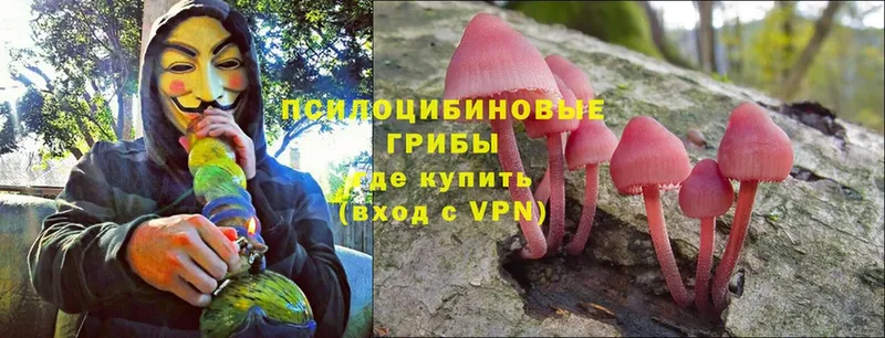 Галлюциногенные грибы Magic Shrooms  Ленск 