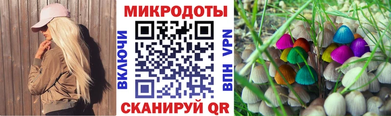 как найти закладки  ссылка на мегу зеркало  Галлюциногенные грибы мухоморы  Ленск 